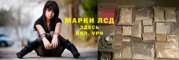 spice Пересвет