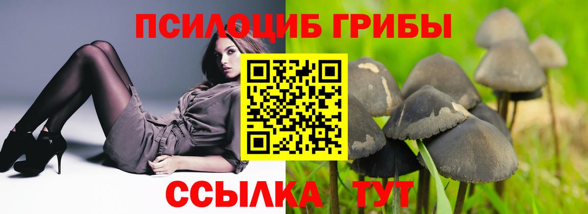 Саров  Галлюциногенные грибы ЛСД  Вход с VPN 
